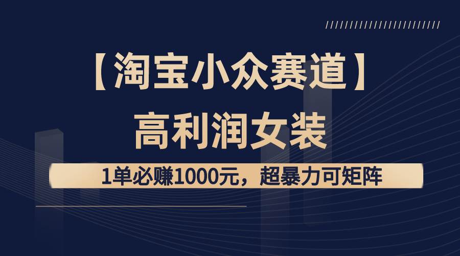 【淘宝小众赛道】高利润女装：1单必赚1000元，超暴力可矩阵-艾莉资源