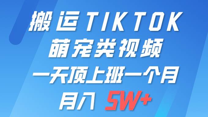 一键搬运TIKTOK萌宠类视频 一部手机即可操作 所有平台均可发布 轻松月入5W+-艾莉资源