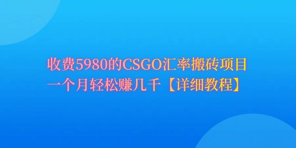 CSGO装备搬砖，月综合收益率高达60%，你也可以！-艾莉资源