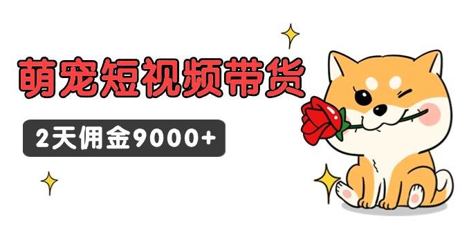 东哲日记·萌宠短视频带货，2天佣金9000+-艾莉资源