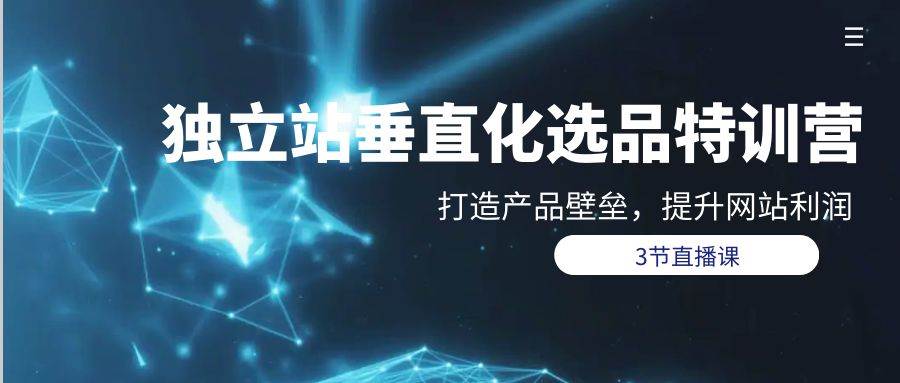 独立站-垂直化选品训练营，打造产品壁垒，提升网站利润（3节直播课）-艾莉资源