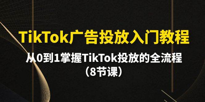 TikTok广告投放入门教程，从0到1掌握TikTok投放的全流程（8节课）-艾莉资源