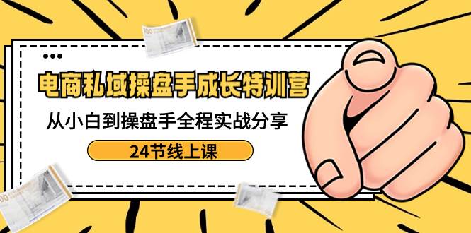 电商私域-操盘手成长特训营：从小白到操盘手全程实战分享-24节线上课-艾莉资源