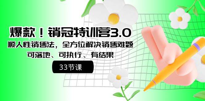爆款！销冠特训营3.0之顺人性销售法，全方位解决销售难题、可落地、可执行、有结果-艾莉资源