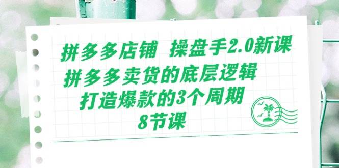 拼多多店铺 操盘手2.0新课，拼多多卖货的底层逻辑，打造爆款的3个周期-8节-艾莉资源