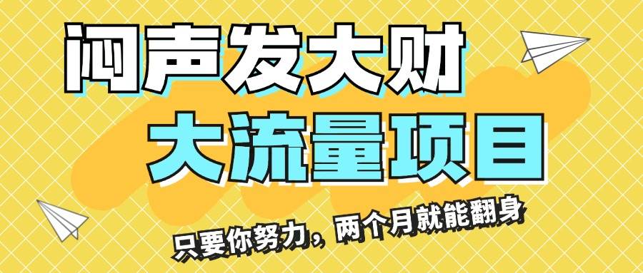 闷声发大财，大流量项目，月收益过3万，只要你努力，两个月就能翻身-艾莉资源