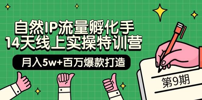 自然IP流量孵化手 14天线上实操特训营【第9期】月入5w+百万爆款打造 (74节)-艾莉资源