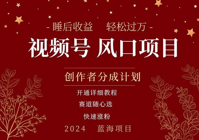 拥有睡眠收益的微信视频号大风口项目，轻松月入过万+，多赛道选择，可…-艾莉资源