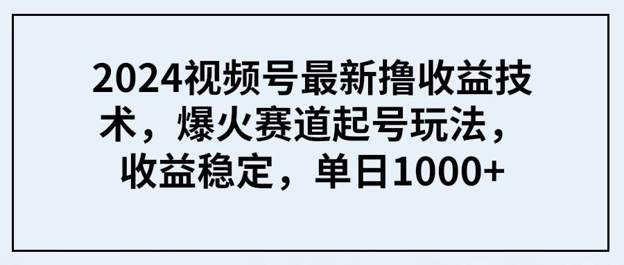 2024视频号最新撸收益技术，爆火赛道起号玩法，收益稳定，单日1000+-艾莉资源