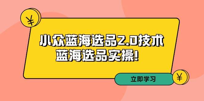 拼多多培训第33期：小众蓝海选品2.0技术-蓝海选品实操！-艾莉资源