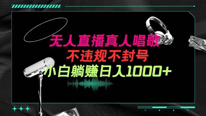 抖音24小时无人直播音乐，不违规，不封号纯撸音浪，小白实操当天日入1000+-艾莉资源