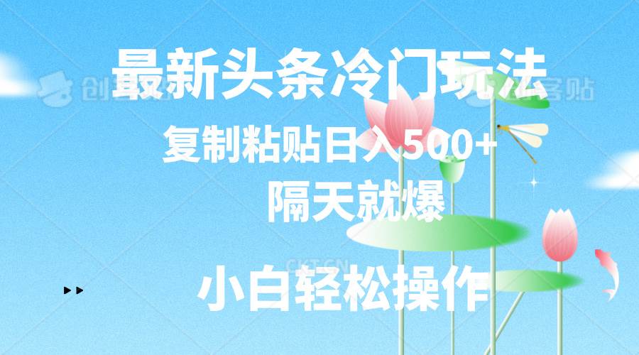 最新头条冷门玩法，隔天就爆，复制粘贴日入500+-艾莉资源