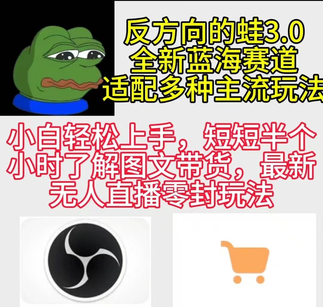 反方向的蛙3.0，图文最新玩法，变现多元化，新蓝海项目，小白轻松上手-艾莉资源