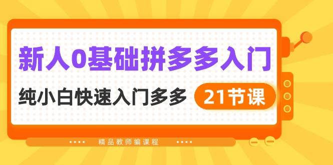 新人0基础拼多多入门，纯小白快速入门多多（21节课）-艾莉资源