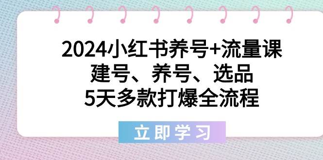 2024小红书养号+流量课：建号、养号、选品，5天多款打爆全流程-艾莉资源
