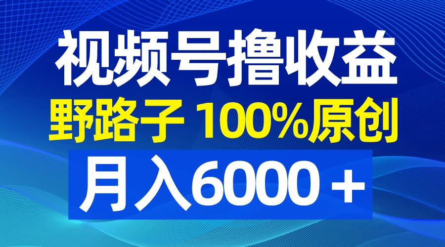 视频号野路子撸收益，100%原创，条条爆款，月入6000＋-艾莉资源