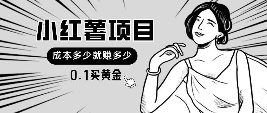 小红薯暴力项目，0.1买黄金。操作简单，日入无上限，可无限扩大。-艾莉资源