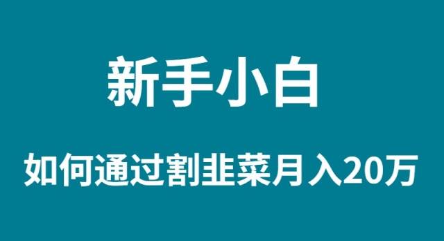 新手小白如何通过割韭菜月入 20W-艾莉资源
