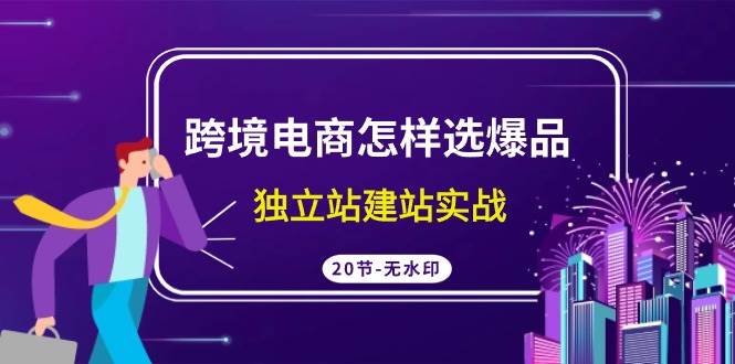 跨境电商怎样选爆品，独立站建站实战（20节高清无水印课）-艾莉资源