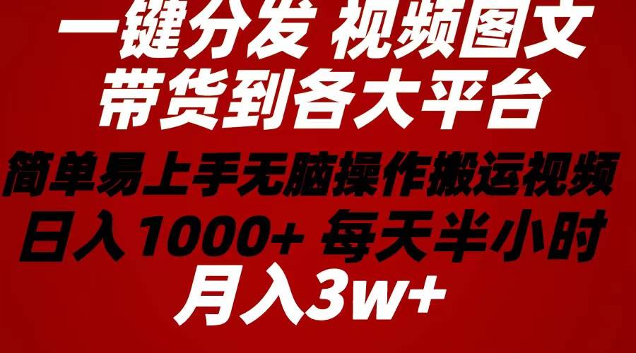 2024年 一键分发带货图文视频  简单易上手 无脑赚收益 每天半小时日入1…-艾莉资源