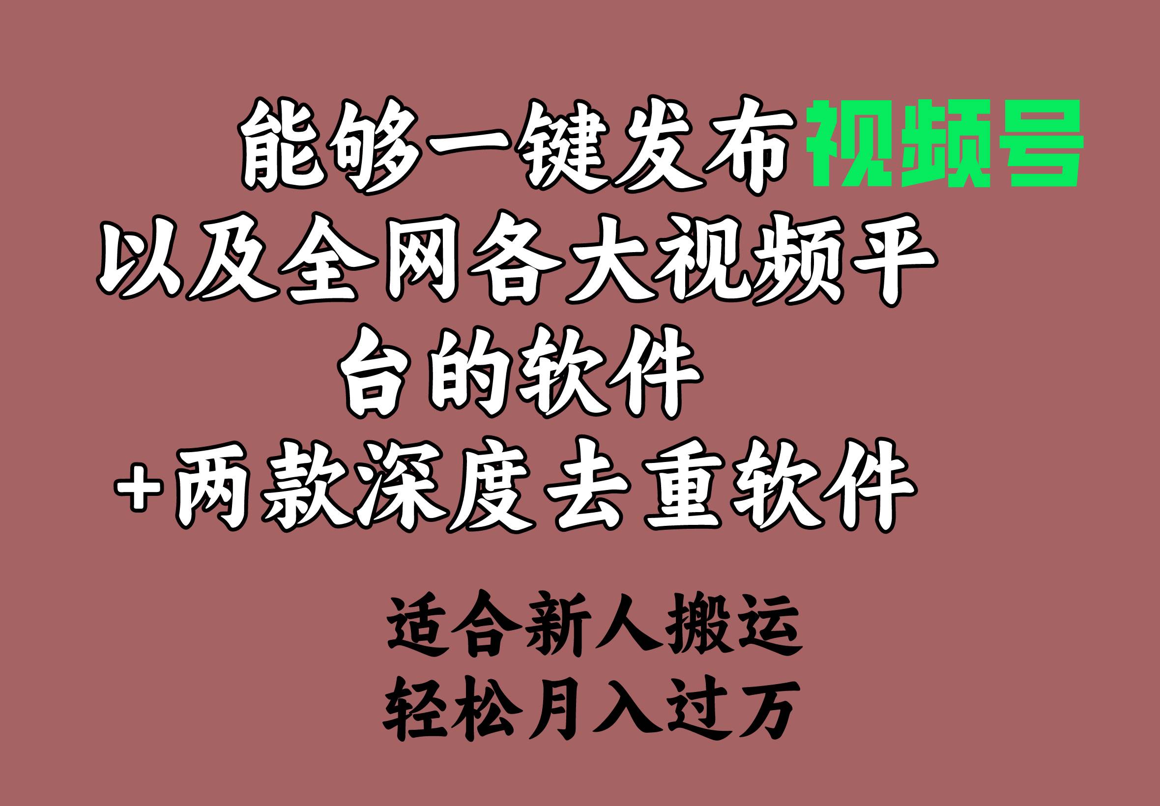 能够一键发布视频号以及全网各大视频平台的软件+两款深度去重软件 适合…-艾莉资源