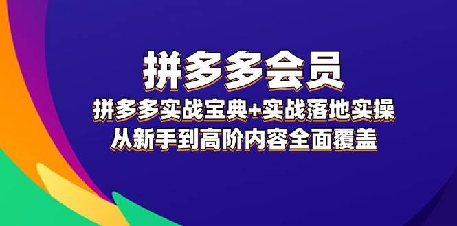 拼多多 会员，拼多多实战宝典+实战落地实操，从新手到高阶内容全面覆盖-艾莉资源