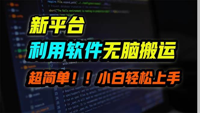新平台用软件无脑搬运，月赚10000+，小白也能轻松上手-艾莉资源