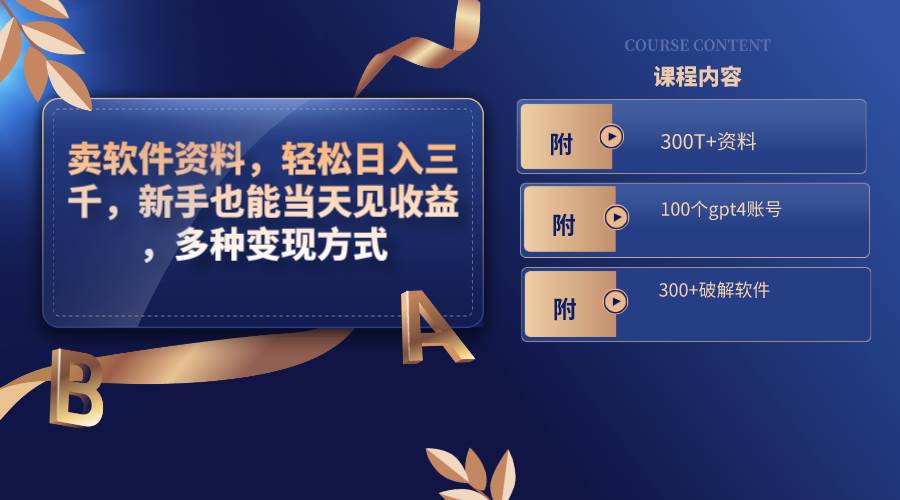 卖软件资料，轻松日入三千，新手也能当天见收益，多种变现方式，（附300T+资料，100个gpt4账号，300+破解软件）-艾莉资源