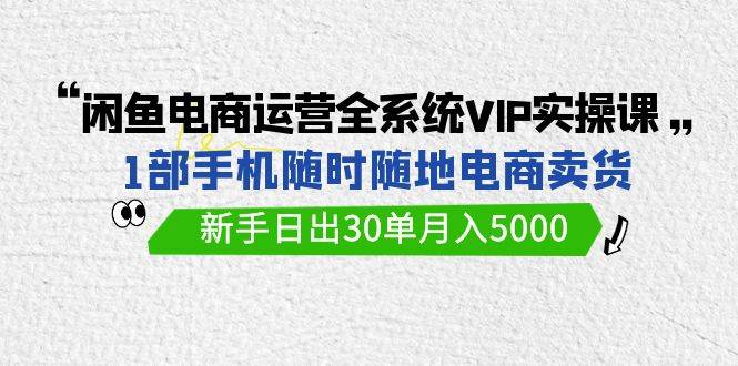 闲鱼电商运营全系统VIP实战课，1部手机随时随地卖货，新手日出30单月入5000-艾莉资源