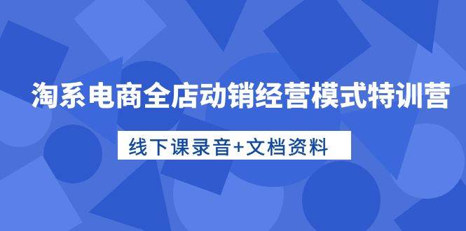 淘系电商全店动销经营模式特训营，线下课录音+文档资料-艾莉资源