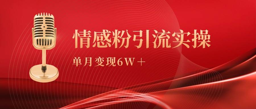 单月变现6w+，情感粉引流变现实操课-艾莉资源