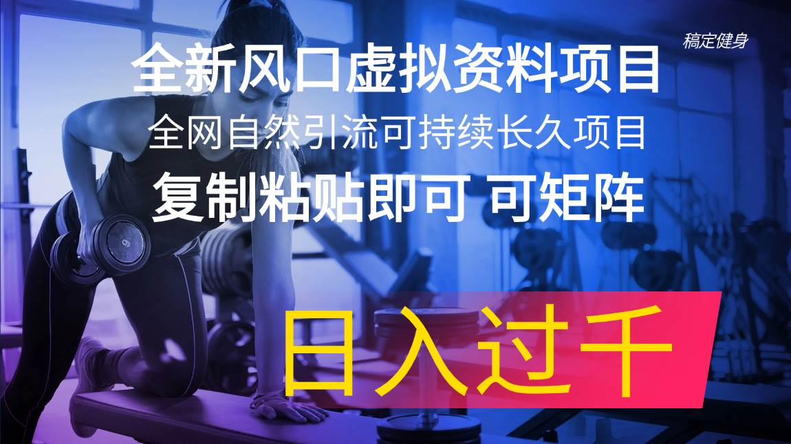 全新风口虚拟资料项目 全网自然引流可持续长久项目 复制粘贴即可可矩阵…-艾莉资源