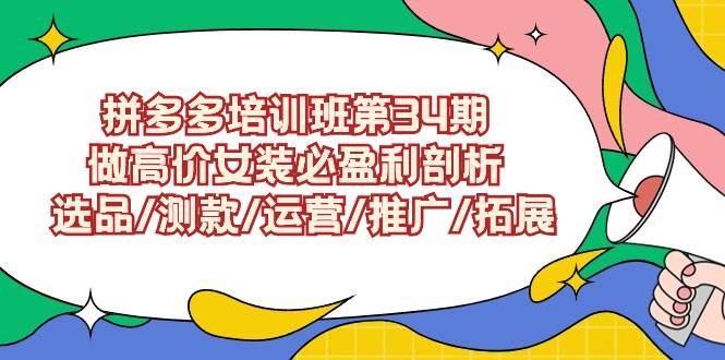 拼多多培训班第34期：做高价女装必盈利剖析  选品/测款/运营/推广/拓展-艾莉资源