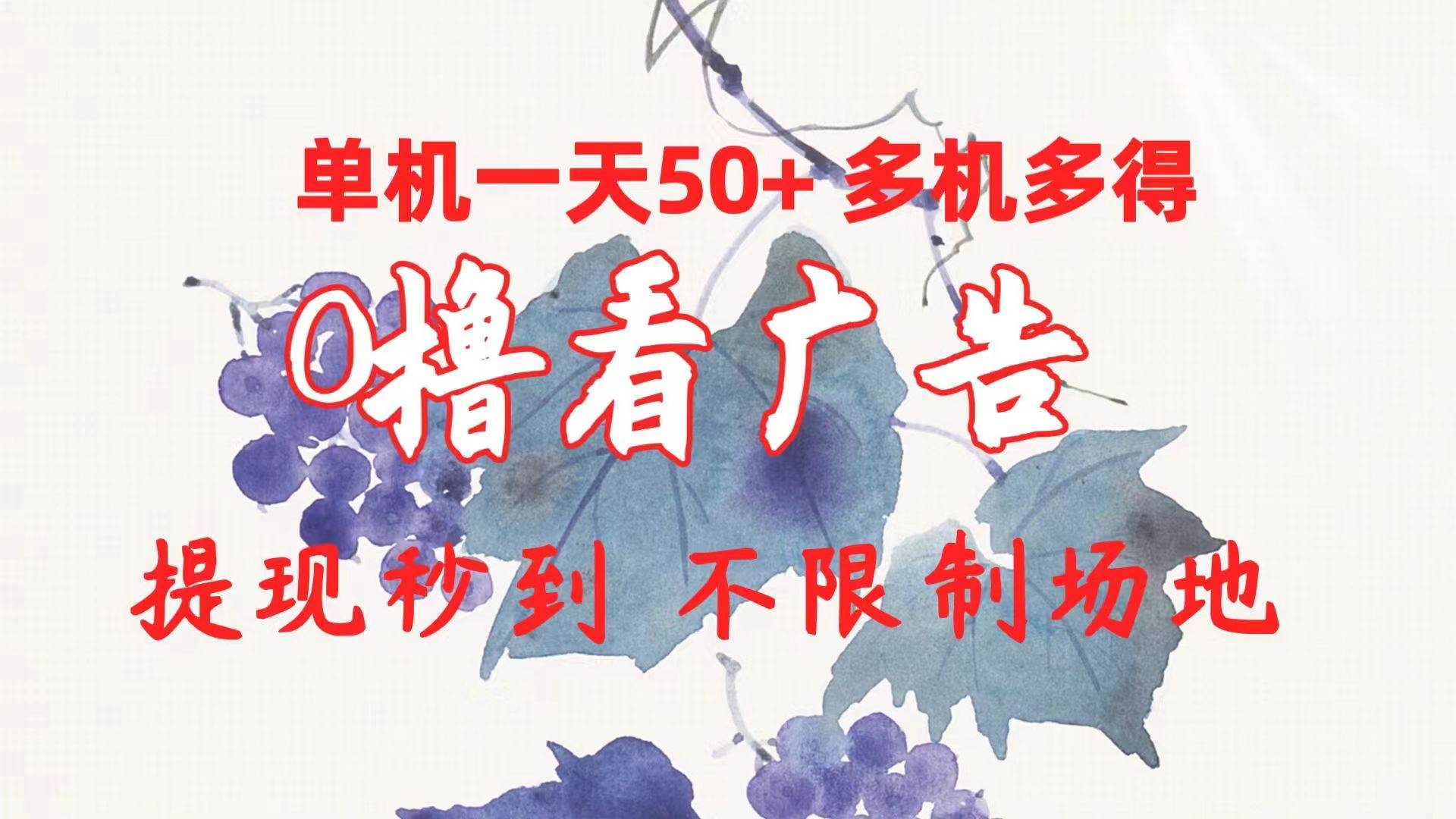 0撸看广告 单机一天50+多机多得 提现秒到 不限制场地操作-艾莉资源