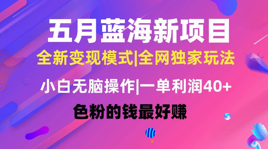 五月蓝海项目全新玩法，小白无脑操作，一天几分钟，矩阵操作，月入4万+-艾莉资源