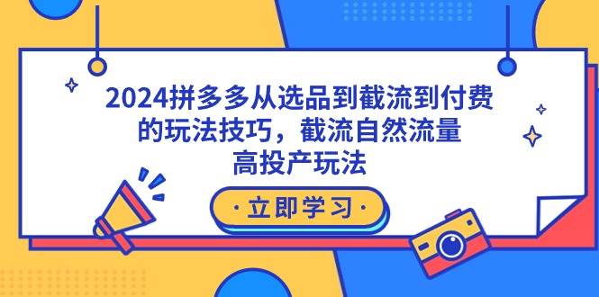 2024拼多多从选品到截流到付费的玩法技巧，截流自然流量玩法，高投产玩法-艾莉资源