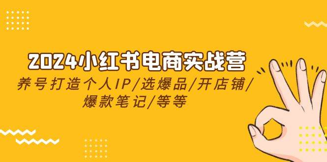 2024小红书电商实战营，养号打造IP/选爆品/开店铺/爆款笔记/等等（24节）-艾莉资源
