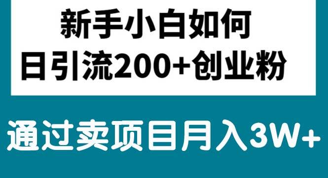 新手小白日引流200+创业粉,通过卖项目月入3W+-艾莉资源