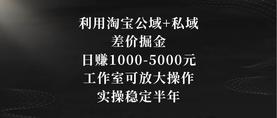 利用淘宝公域+私域差价掘金，日赚1000-5000元，工作室可放大操作，实操…-艾莉资源