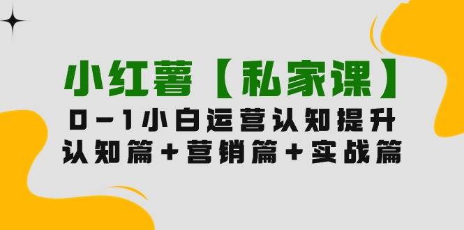 小红薯【私家课】0-1玩赚小红书内容营销，认知篇+营销篇+实战篇（11节课）-艾莉资源