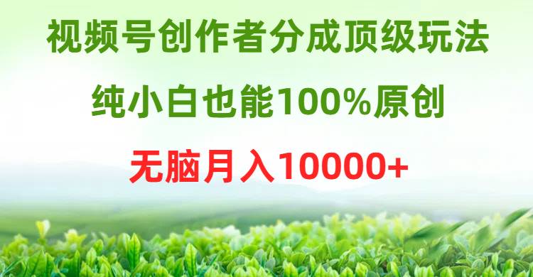 视频号创作者分成顶级玩法，纯小白也能100%原创，无脑月入10000+-艾莉资源