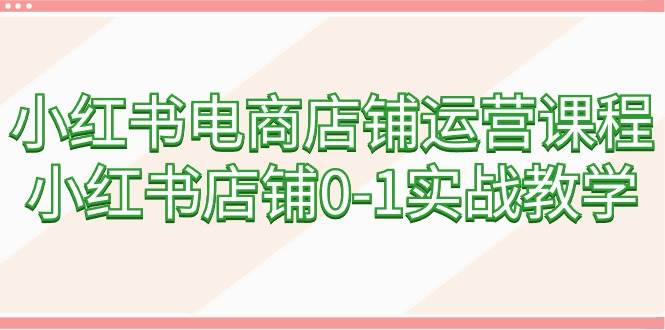 小红书电商店铺运营课程，小红书店铺0-1实战教学（60节课）-艾莉资源