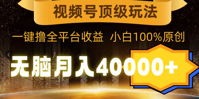 视频号顶级玩法，无脑月入40000+，一键撸全平台收益，纯小白也能100%原创-艾莉资源