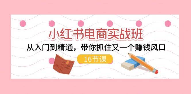 小红书电商实战班，从入门到精通，带你抓住又一个赚钱风口（16节）-艾莉资源
