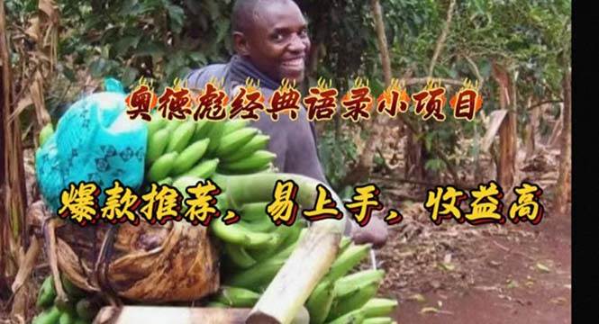 奥德彪经典语录小项目，爆款推荐，易上手，收益高-艾莉资源
