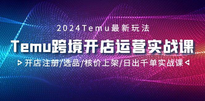 2024Temu跨境开店运营实战课，开店注册/选品/核价上架/日出千单实战课-艾莉资源