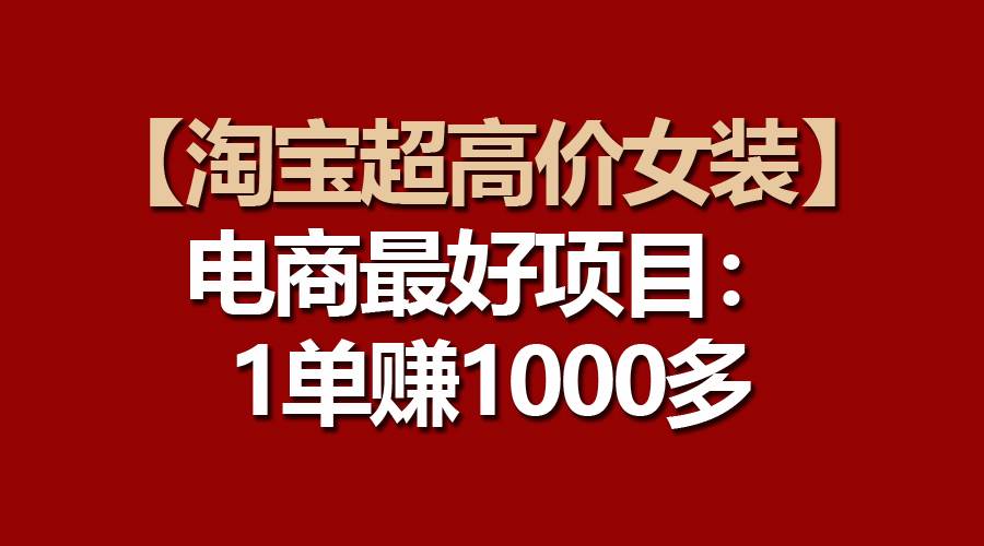 【淘宝超高价女装】电商最好项目：一单赚1000多-艾莉资源