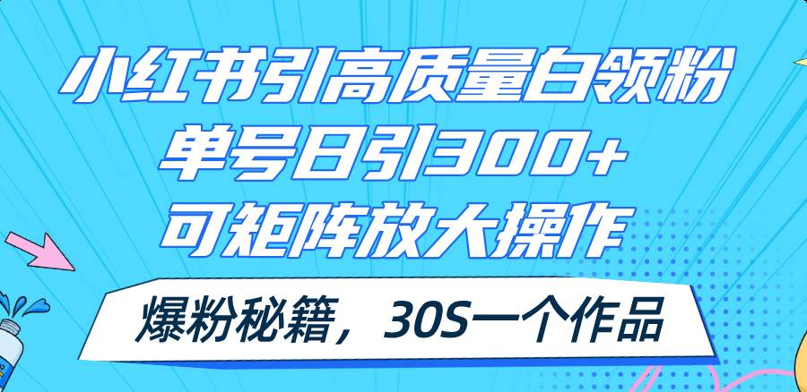 小红书引高质量白领粉，单号日引300+，可放大操作，爆粉秘籍！30s一个作品-艾莉资源