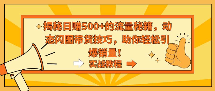 揭秘日赚500+的流量秘籍，动态闪图带货技巧，助你轻松引爆销量！-艾莉资源