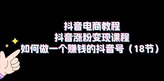 抖音电商教程：抖音涨粉变现课程：如何做一个赚钱的抖音号（18节）-艾莉资源